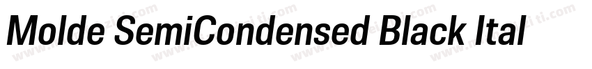 Molde SemiCondensed Black Italic字体转换
